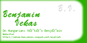 benjamin vekas business card